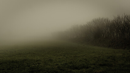 Obraz na płótnie Canvas misty morning in the field