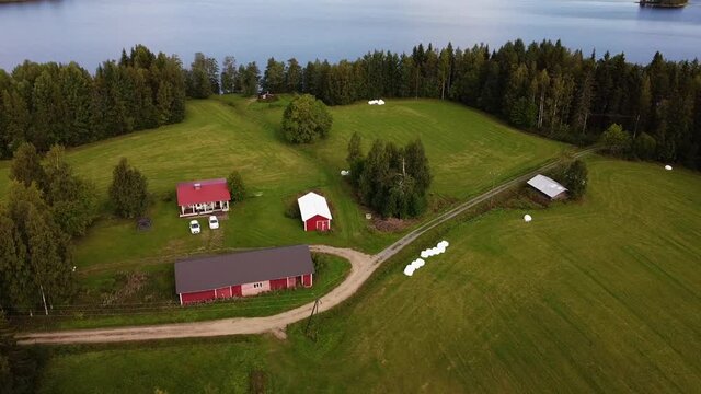 Homestead surrounded by green pinewoods windbreaker by Tornio river, Finland countryside, aerial orbital shot