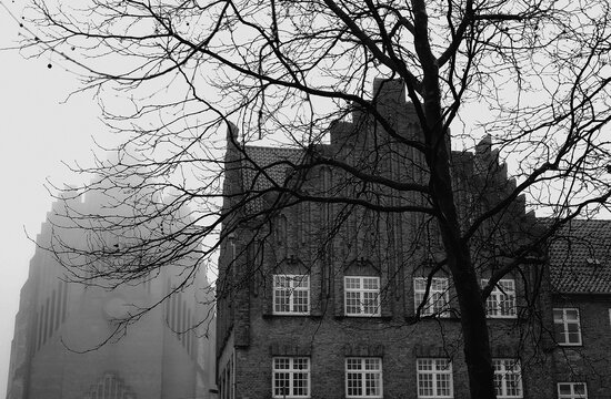 cathedral in copenhagen in the fog