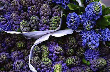 bouquets of purple flowers