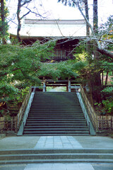 円覚寺（えんがくじ）