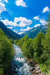 Fototapeta na wymiar landscape with mountains, forest and a river in front. beautiful scenery in alps europe, austria Zillertaler Alpen