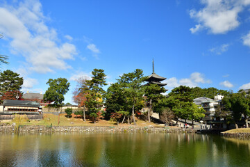 奈良の秋の青空と猿沢池