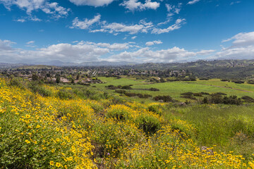 Fototapeta premium Spring view of Thousand Oaks with cloudy sky in Ventura County, California.