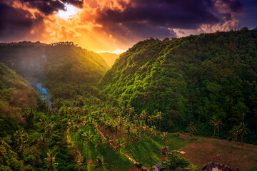 Amazing sunrise over a mountain gorge overgrown with wild palm trees against a nature landscape