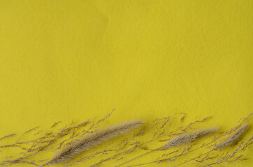Dry spikelets of grass on a bright yellow fabric background.