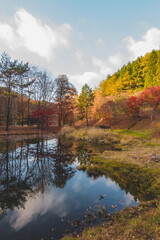 湖に反射した紅葉と山
