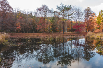 湖に反射した紅葉と山