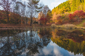 湖に反射した紅葉と山