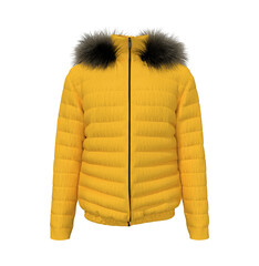 Men's warm sport puffer jacket isolated over white background, jacket design presentation. 3d rendering, 3d illustration © Febriana