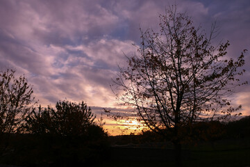 Silhouette of branch of tree at sunrise. Autumn or winter scene with dramatic sky with clouds.