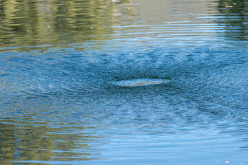Textured shapes in the water froma drone being flown overhead