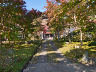 妙泉寺の紅葉