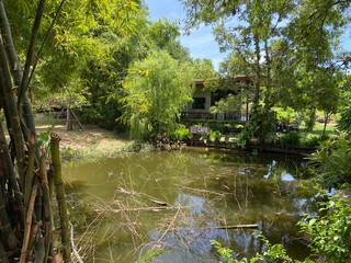 Fototapeta na wymiar garden with pond