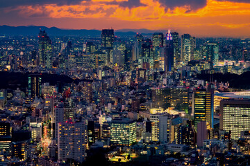 Japan. Panorama of Tokyo from a height. The Japanese capital in the evening. Big city, mountains in the background and blue-pink sky. Urban landscape. Buildings with glowing Windows at the bottom.