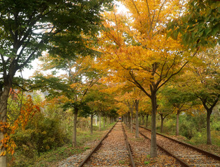 Fototapeta na wymiar Grainy out of focus autumn season railway tracks picture