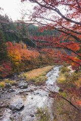 日本の紅葉と川