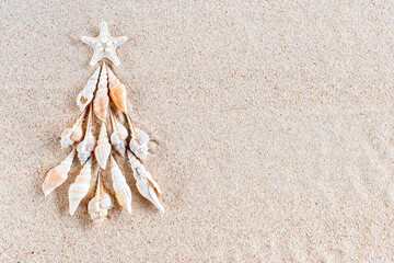 Fototapeta na wymiar Sea shells and star fish Christmas tree on clear sand, top view with copy space