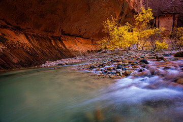 Autumn in the Narrows in Zion National Park