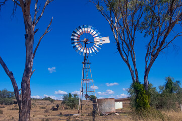 windmill on farm with cattle
