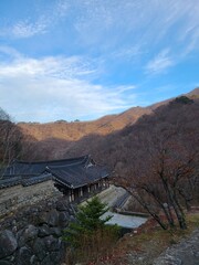 bridge over the river