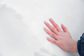 Children's palm on a background of white snow. The concept of the onset of winter.