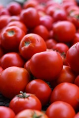 tomatoes on the market