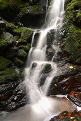 Fototapeta premium Nature - beautiful small waterfall on the creek. Natural colorful background with running water over stones in the forest.