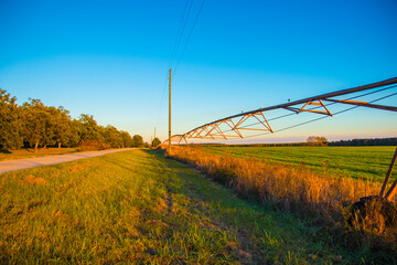 A long empty rural road in the country in Georgia by a pecan farm orchard © billtster