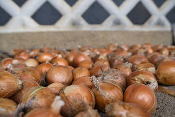 玉ねぎ, 食べ物, 茶色, 天日干し