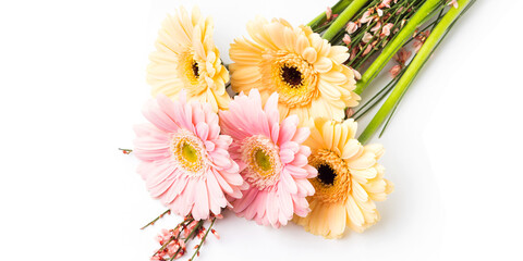 Beautiful pastel pink and orange gerbera bouquet isolated on white background. Giving flowers for womens, mothers day.
