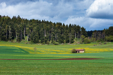 Landschaft im Biosphärengebiet Schwäbische Alb bei Zainingen, Baden-Württemberg, Deutschland