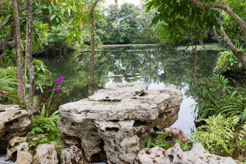 Fototapeta na wymiar Cultivated garden and pond in Northern Thailand