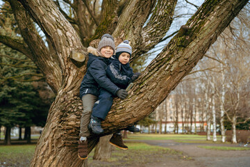 children sitting on branch of big tree in park . Two brothers on a walk in park on autumn sunny day