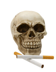 skull with cigarettes symbol of death caused by the habit of smo