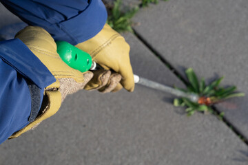 Hände in Gartenhandschuhen flammen Unkraut zwischen Steinplattenfugen ab