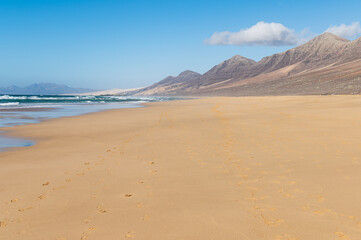 Fototapeta na wymiar Cofete beach in Fuerteventura island