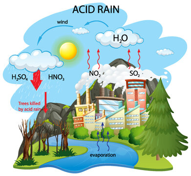 5 058 Best Acid Rain Images Stock Photos Vectors Adobe Stock