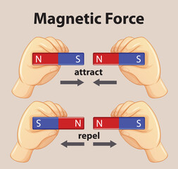 Magnetic force show magnetic attraction and repulsion for kids physics educational