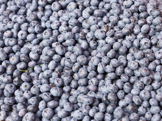 berries blueberry texture background