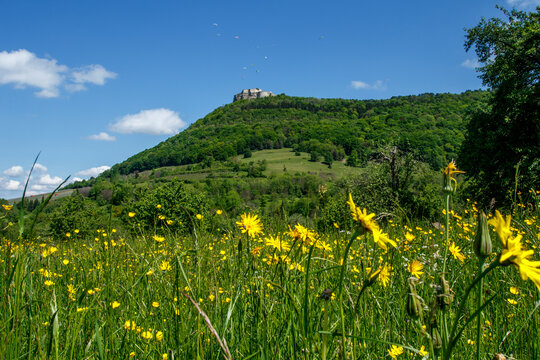 Burg Hohenneuffen, Schw&auml;bische Alb, Baden-W&uuml;rttemberg, Deutschland