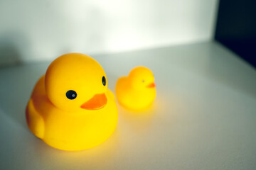 The rubber duck in the bathroom is on the shelf.