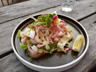 fresh norwegian prawn sandwich outside in summer