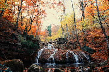 Falls in the autumn forest