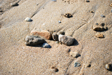 Fototapeta na wymiar Plage de sable fin, sur l'Ile de Noirmoutier - Vendée , a découvert par la marée descendante