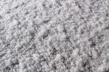 snow on the ground