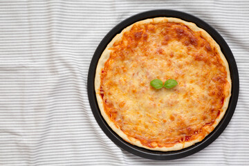 Homemade Neopolitan Pizza with Cheese and Basil, top view. Flat lay, from above, overhead. Copy space.