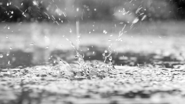 Close up view of rain drops on water,slow motion, black and white footage