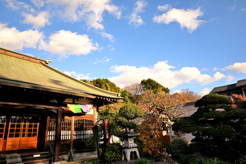 Obraz premium 秋の空とお寺