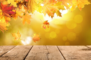 Naklejka na ściany i meble Empty wooden surface and beautiful autumn leaves on blurred background